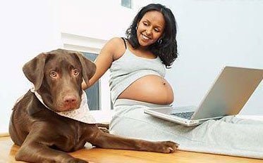 孕期要远离宠物