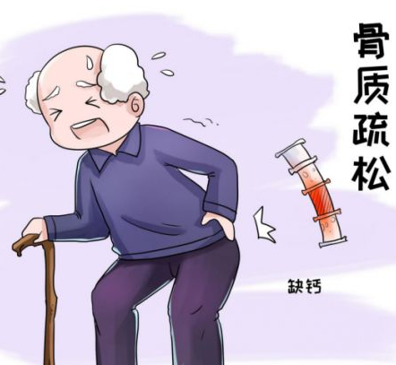 超声骨密度检测仪厂家提议如何维持人体骨骼年轻化