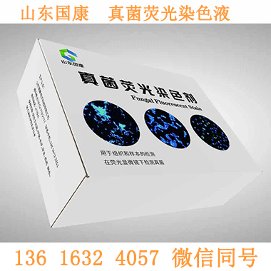 真菌荧光染色液试剂：真菌检测领域的“神秘魔法药水”？